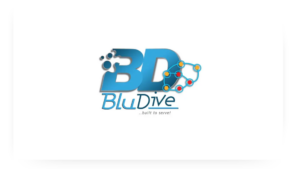 bludrive
