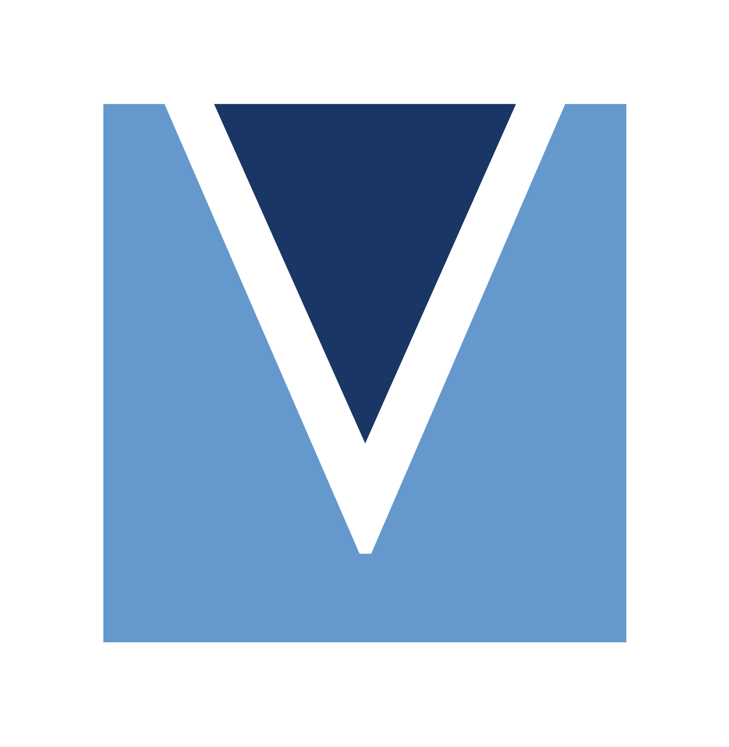 logo icon